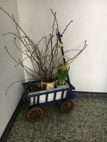 IMG_2045 - Copy.JPG